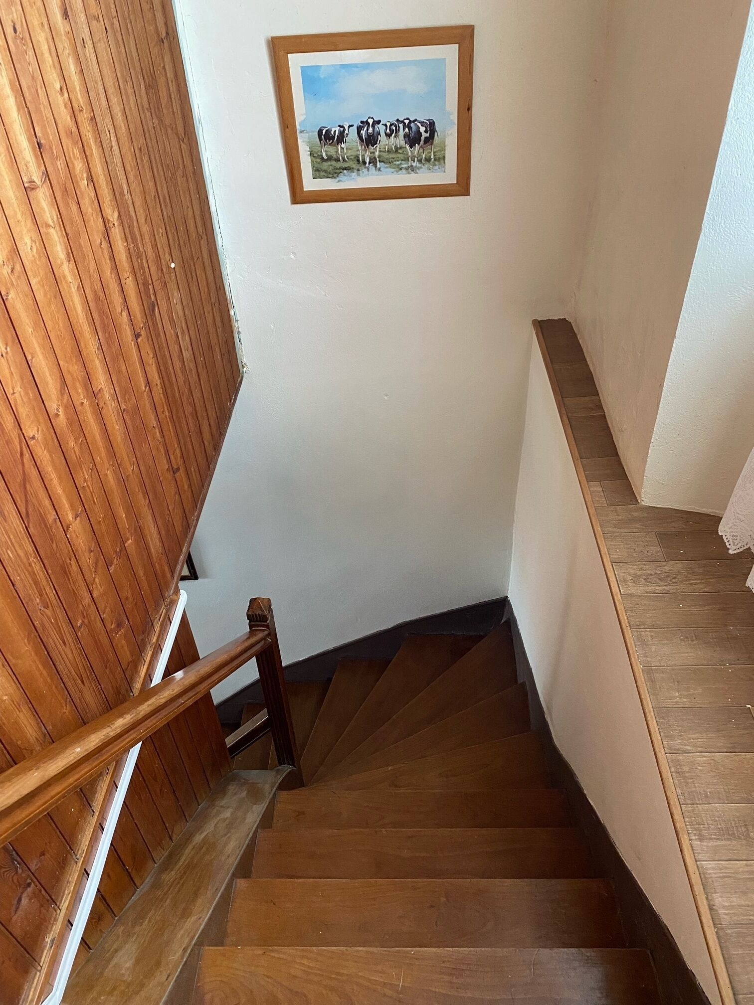 Una escalera de madera con barandilla, una pared blanca y un cuadro enmarcado con vacas.