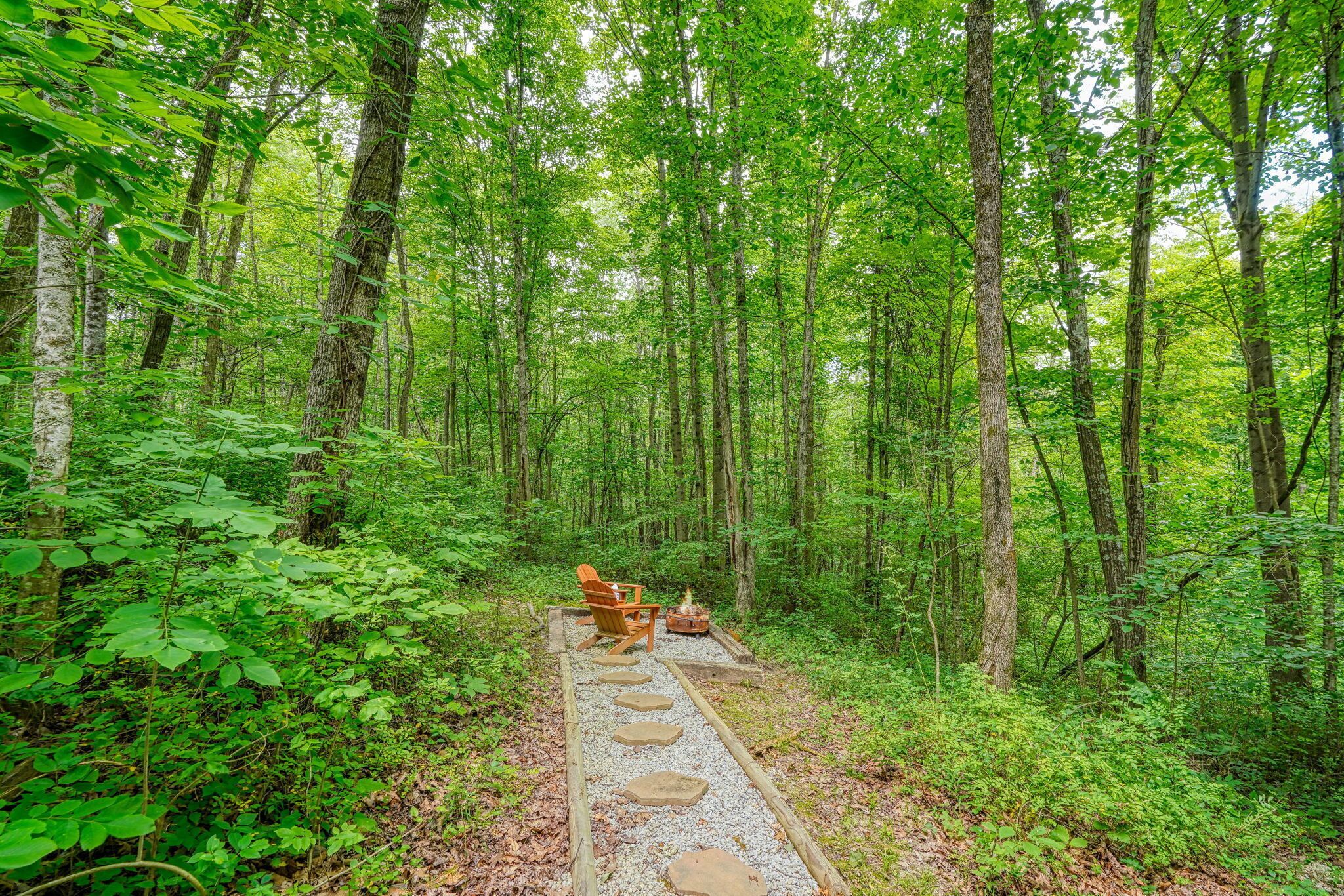 A forested area with a stone pathway leading to a wooden chair and a fire pit.