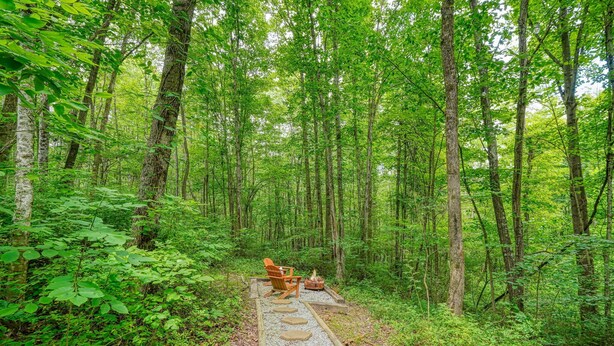Une zone boisée avec un sentier pavé de pierres menant à une chaise en bois et à un foyer.