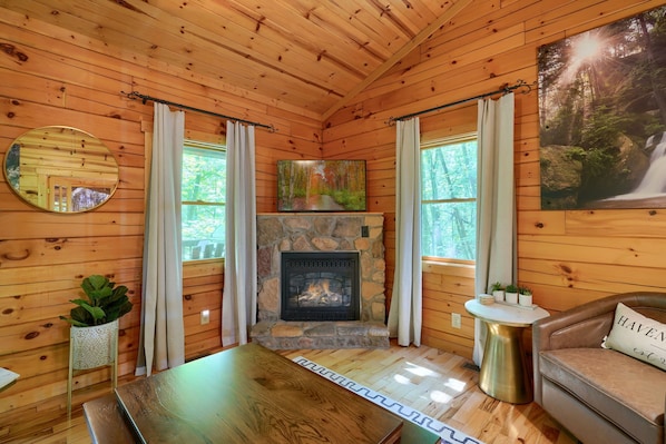 TV, fireplace, video games, DVD player