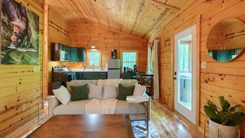 テレビ、暖炉、テレビゲーム、DVD プレーヤー