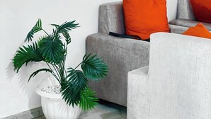 A living room with a grey sofa, orange cushions, and a potted plant. - Rubee Homes (Kampala)
