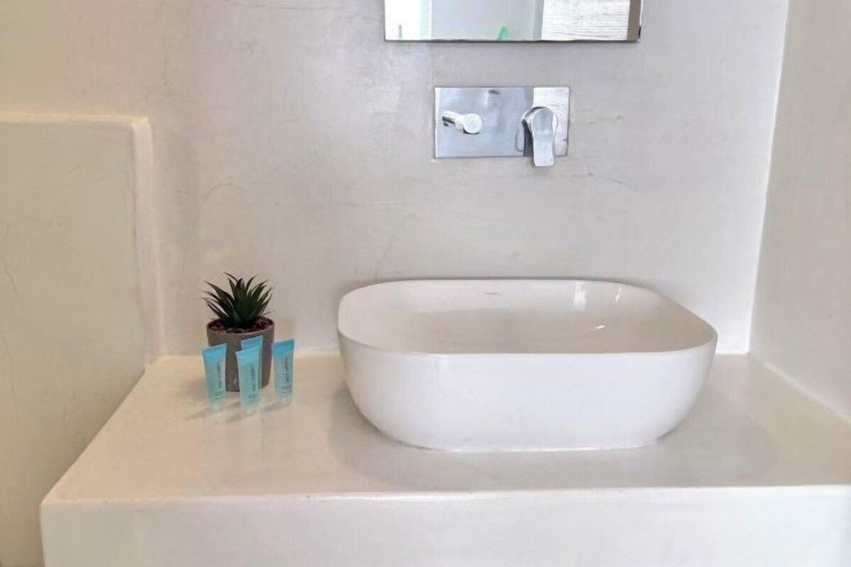 A bathroom with a white sink, a small potted plant, and a mirror above the sink.