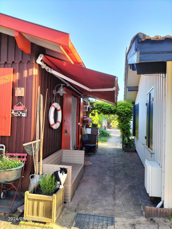 A narrow alleyway with a red building on one side and a white building on the other. There are outdoor seating areas with chairs and tables, and a cat is sitting on a planter.