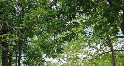 The Overlook. Cozy 1-bedroom on the banks of the Beautiful White River