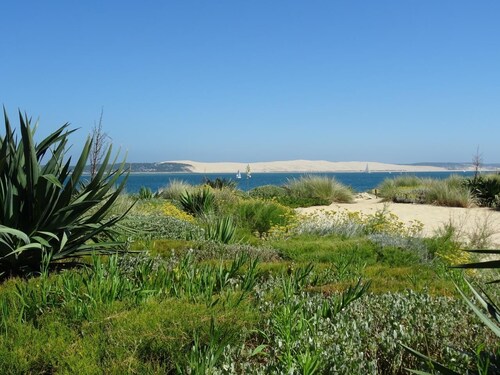 APPARTEMENT AU CAP FERRET