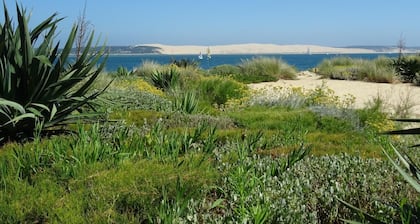 APPARTEMENT AU CAP FERRET