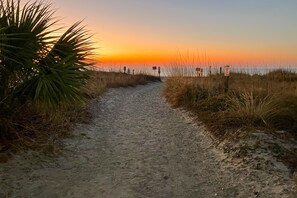 Miscellaneous - Private home, walk to beach, backyard oasis, dog-friendly, W/D, & central A/C (North Myrtle Beach)