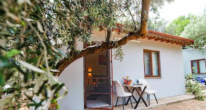 MADAM AFRODİT KONUKEVİ