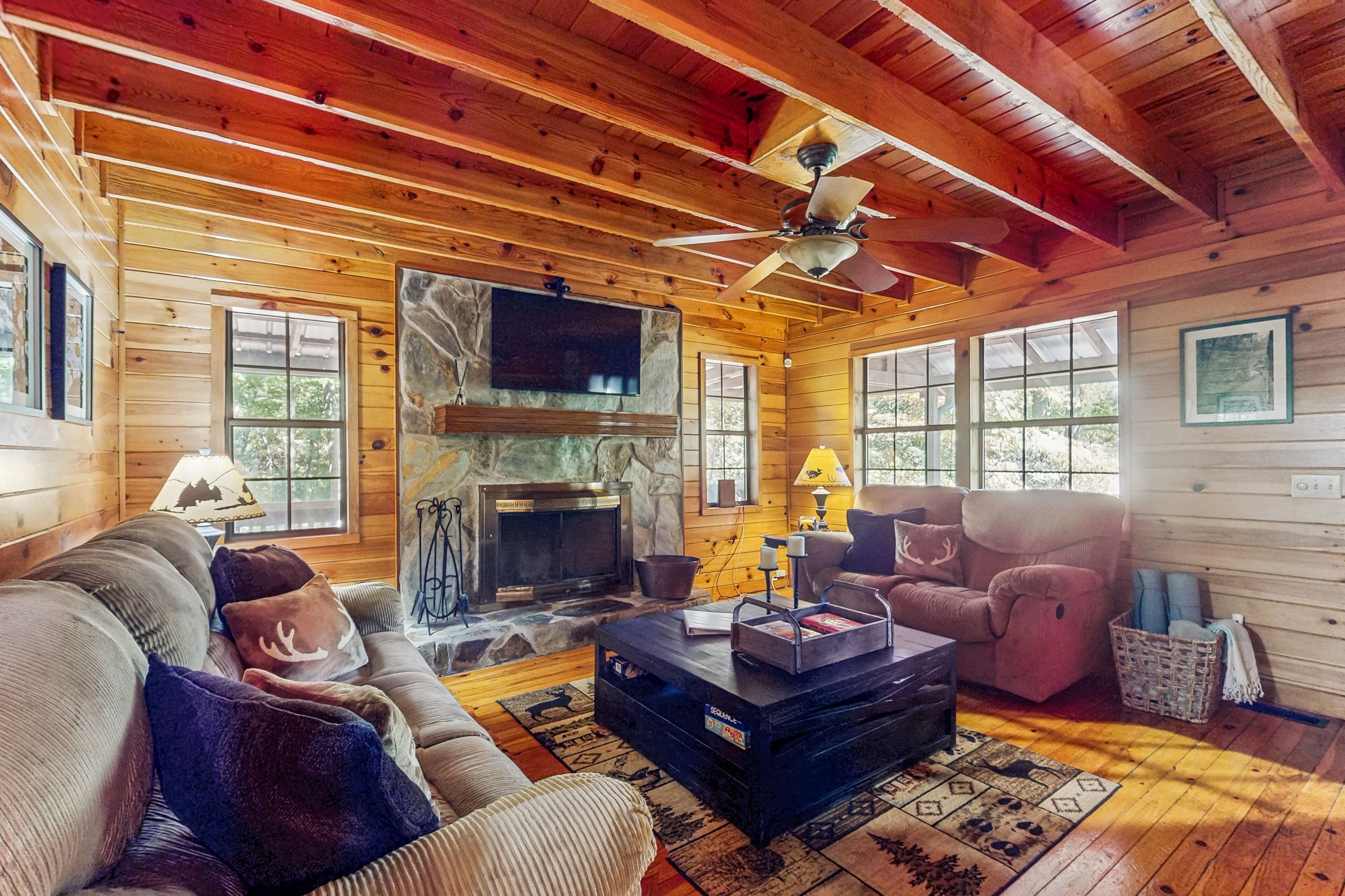 TV, fireplace, DVD player