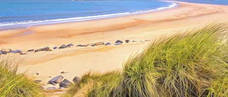 Pesca