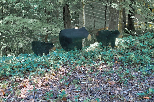 Àrea exterior de l'allotjament