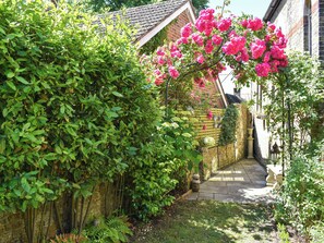 A garden pathway with a brick wall, lush greenery, and flowering plants.