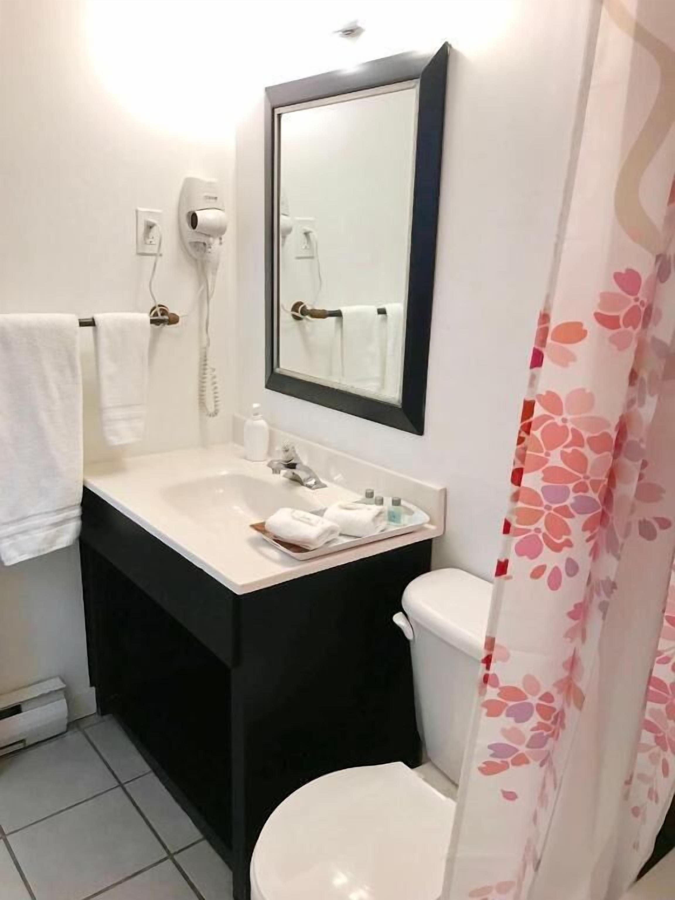 A bathroom with a white sink, a mirror, a toilet, and a shower curtain with a floral pattern.