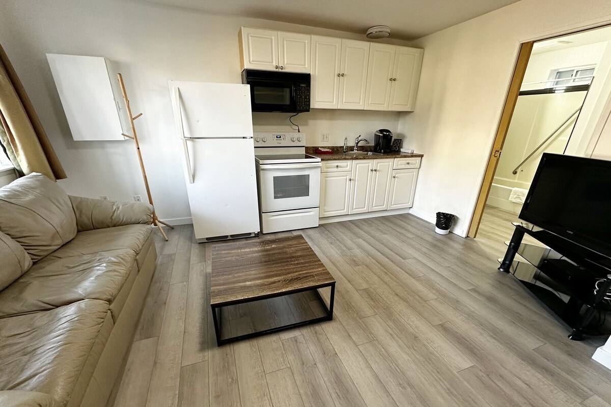 A compact living space with a kitchenette, a sofa, a coffee table, and a TV.