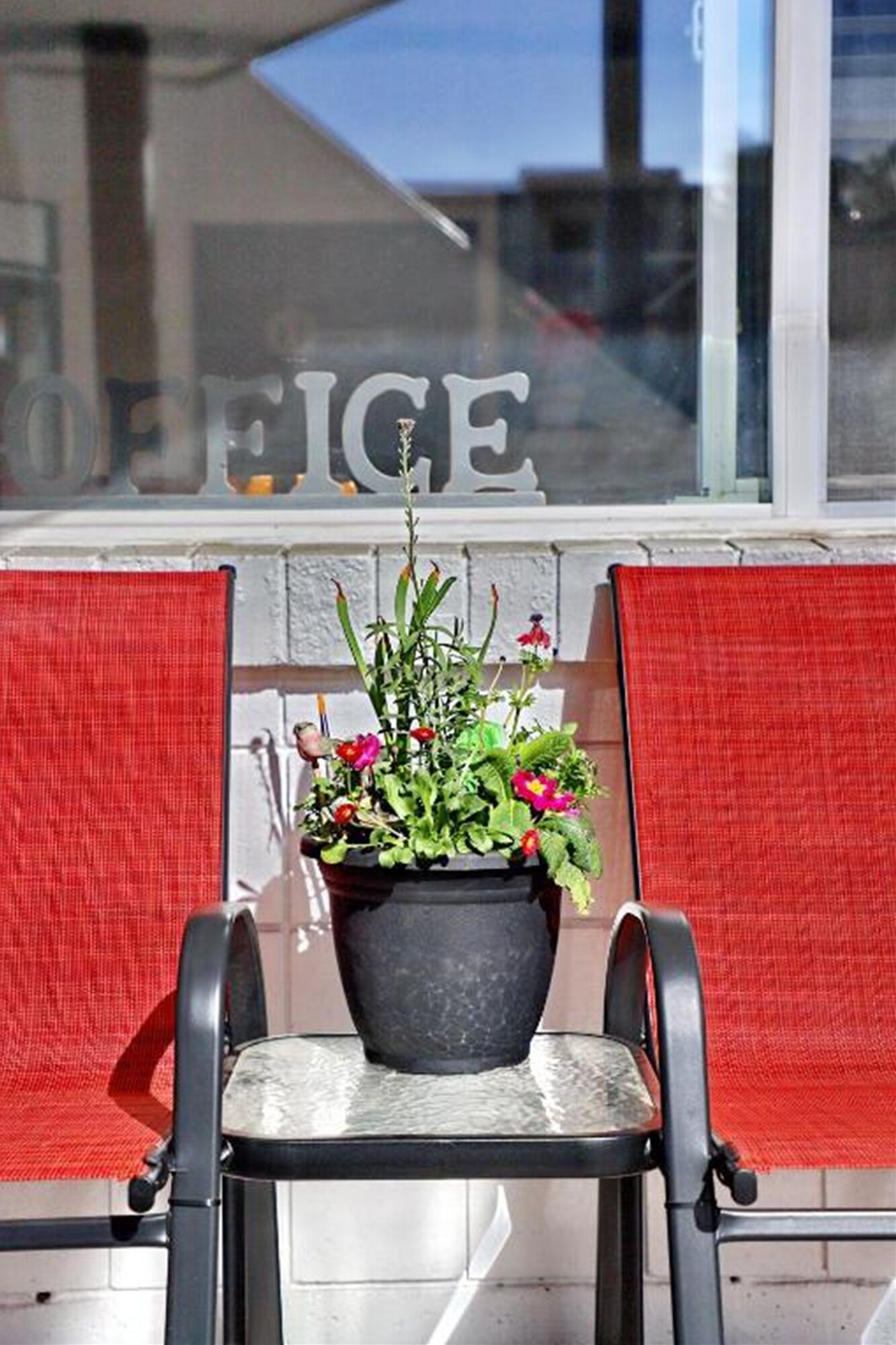A small table with a potted plant in front of a window with the word "OFFICE" on it.