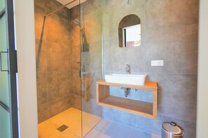 Shower, hair dryer, soap, toilet paper