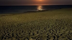 Een strand bij zonsondergang, met een kalme zee en een heldere lucht.