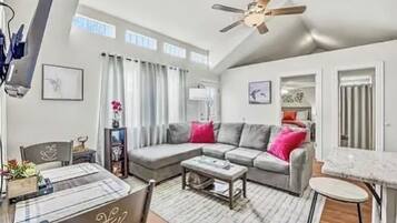 Smart TV, fireplace, DVD player, books