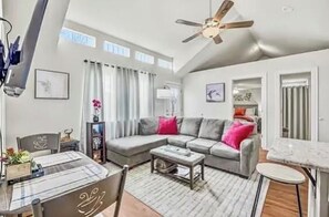 TV connectée, cheminée, lecteur de DVD, livres