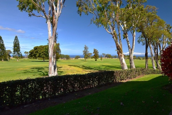 View from the lanai!