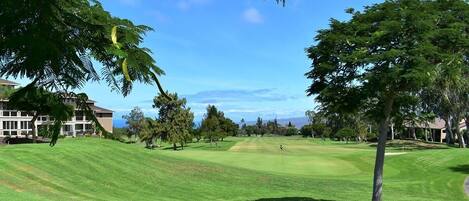 A golf course with a well-maintained lawn, trees, and a clear sky.