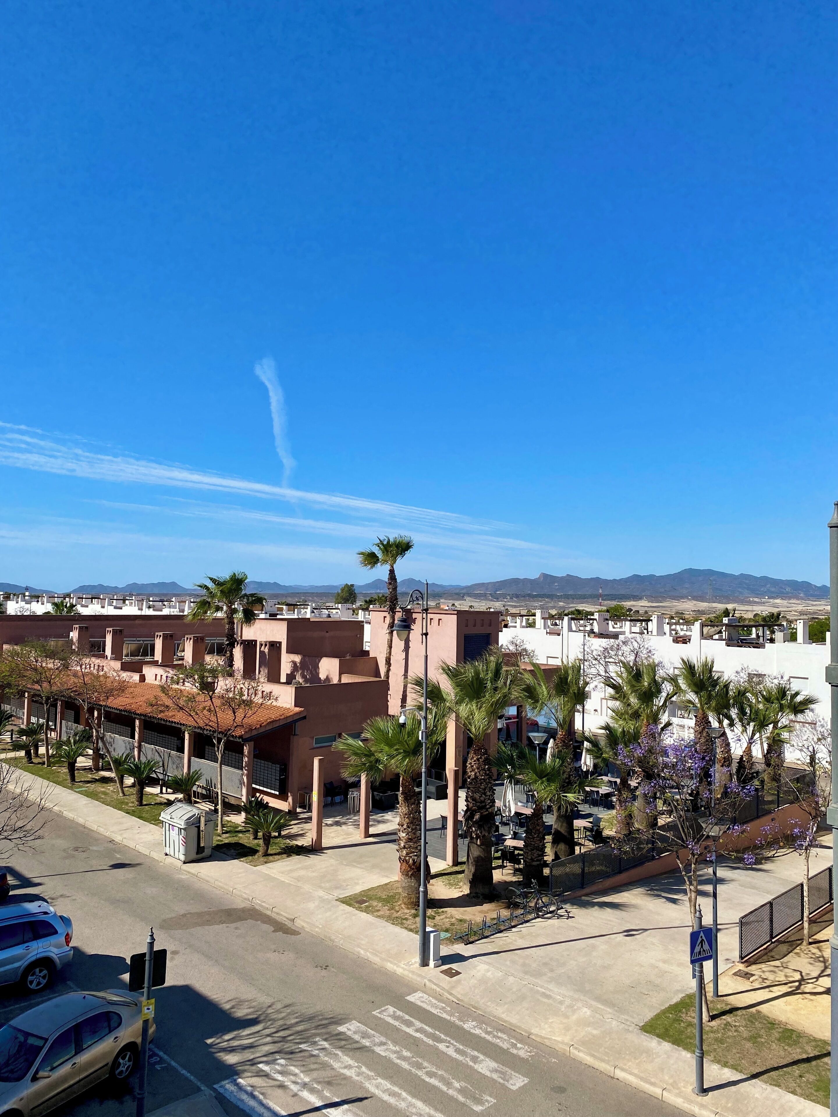 A residential area with modern buildings, palm trees, and a clear blue sky.