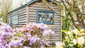 A wooden cabin with two windows and a curved roof, surrounded by lush greenery and flowering plants.