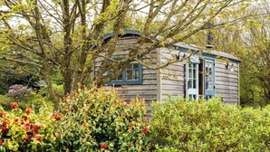 A wooden cabin with a blue door and windows, surrounded by lush greenery and flowering bushes.
