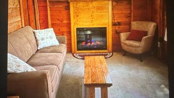 Smart TV, fireplace, DVD player, books