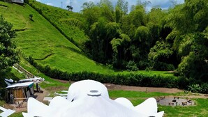 A unique, white, organic-shaped building surrounded by a well-maintained lawn and a stone pathway leading to it. - large villa with 8 luxury rooms, pool with lights, 3 hydrotherapy, gym, wifi !!  (Pereira)