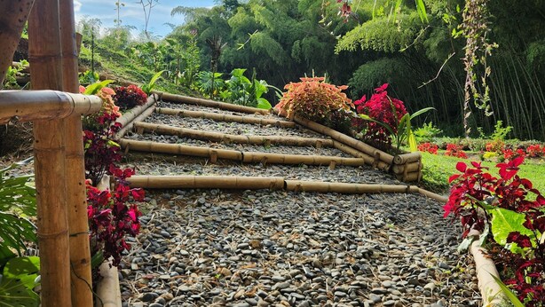 A garden pathway with bamboo structures and various plants. - large villa with 8 luxury rooms, pool with lights, 3 hydrotherapy, gym, wifi !!  (Pereira)