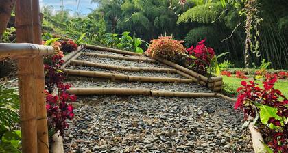 large villa with 8 luxury rooms, pool with lights, 3 hydrotherapy, gym, wifi !!