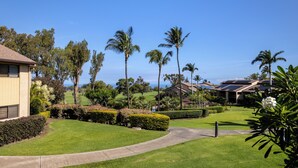 A well-maintained golf course with manicured lawns, palm trees, and a clear blue sky. - Ocean view with amazing sunsets! (Waikoloa)