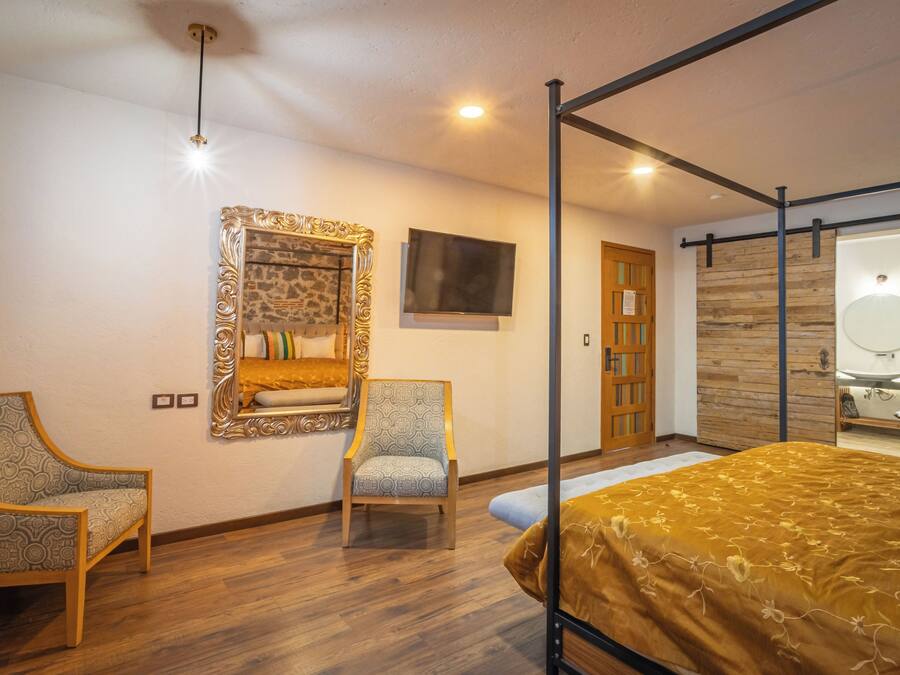 Un dormitorio con una cama con dosel, un televisor, un espejo y dos sillas.