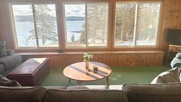 Televisión, chimenea, reproductor de DVD y libros