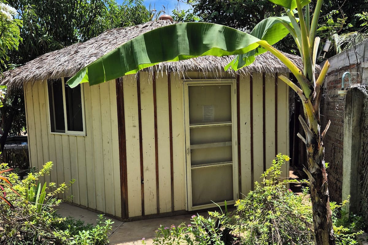 A small, single-story building with a thatched roof, surrounded by lush greenery and a banana tree.