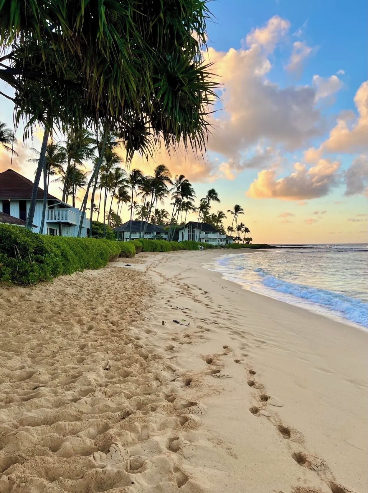 Sun loungers, beach towels