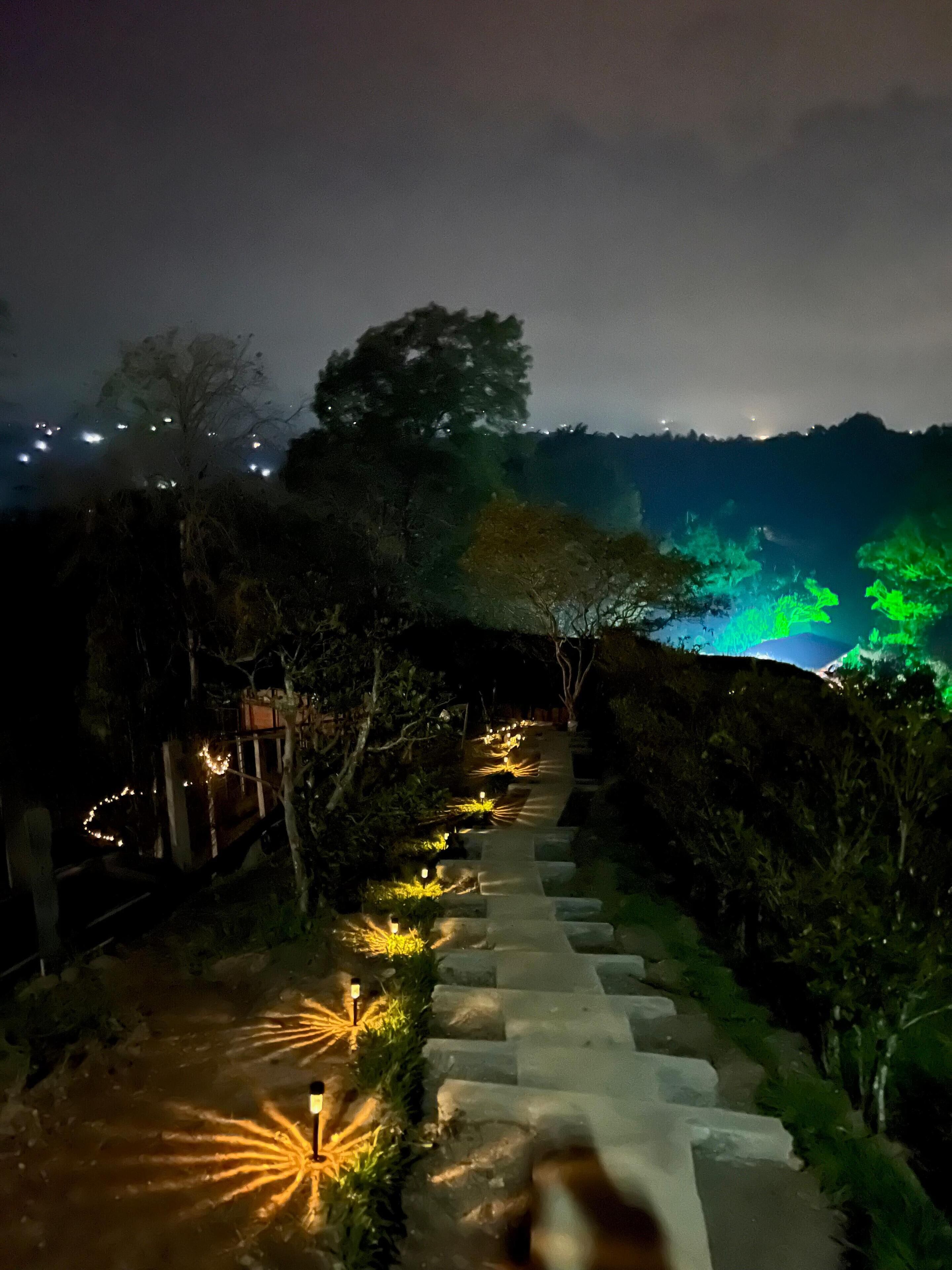 Vista noturna de uma escadaria de pedra com iluminação ao longo do caminho, cercada por árvores e vegetação.