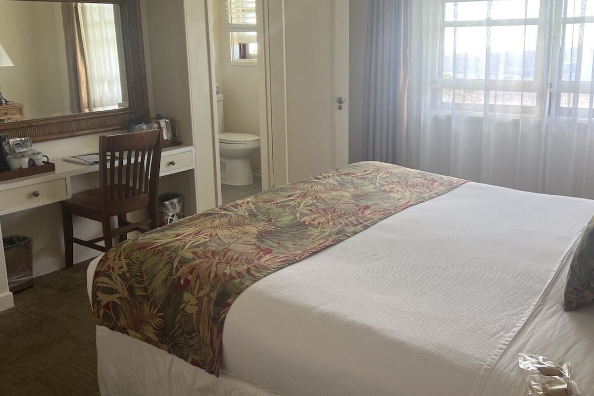 A hotel room with a bed, a desk, a chair, a toilet, and a window with curtains.