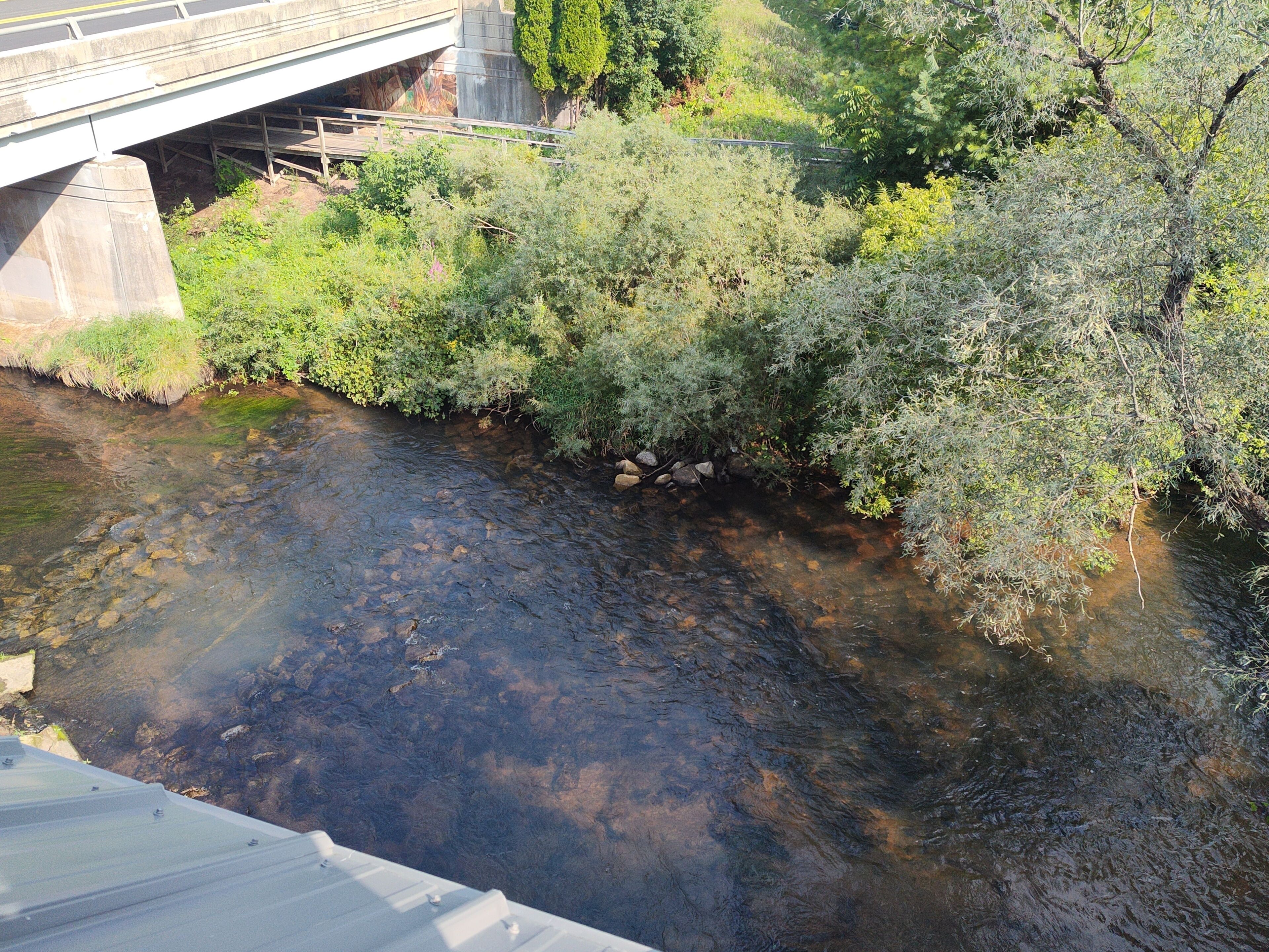 Ein Fluss mit einer Brücke darüber, umgeben von dichtem Grün.