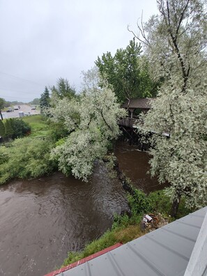 Property grounds - COUPLE - on Hersey River, trails, close to golfing, parks and horseback riding  (Reed City)