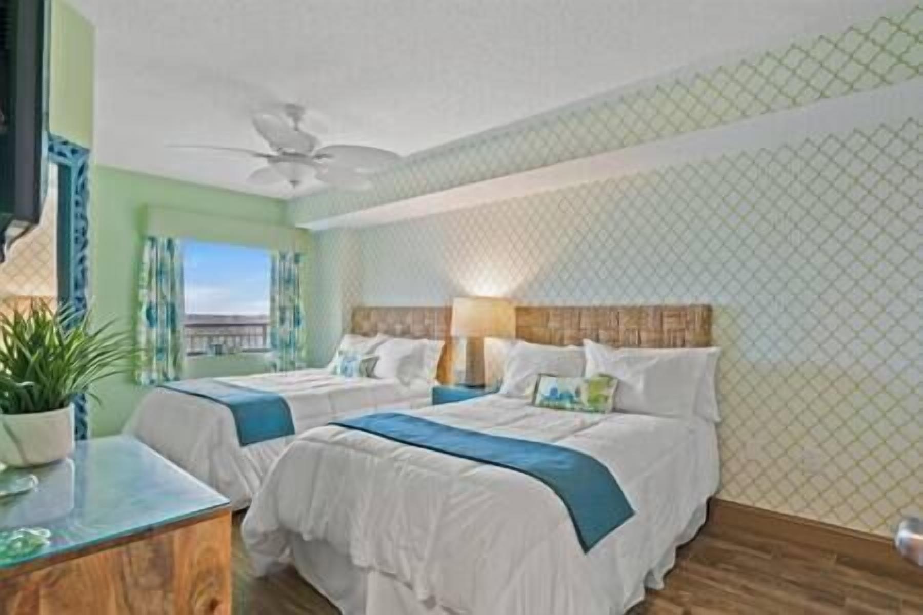 3 多间卧室、熨斗/熨衣板、WiFi、床单