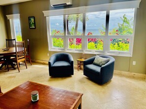 TV - Welcome to Anna's View! (Christiansted)