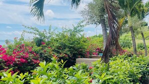Un jardín exuberante con diversas plantas y flores, incluyendo buganvillas rosadas y follaje verde.