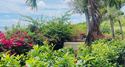 Welcome to Anna's View!