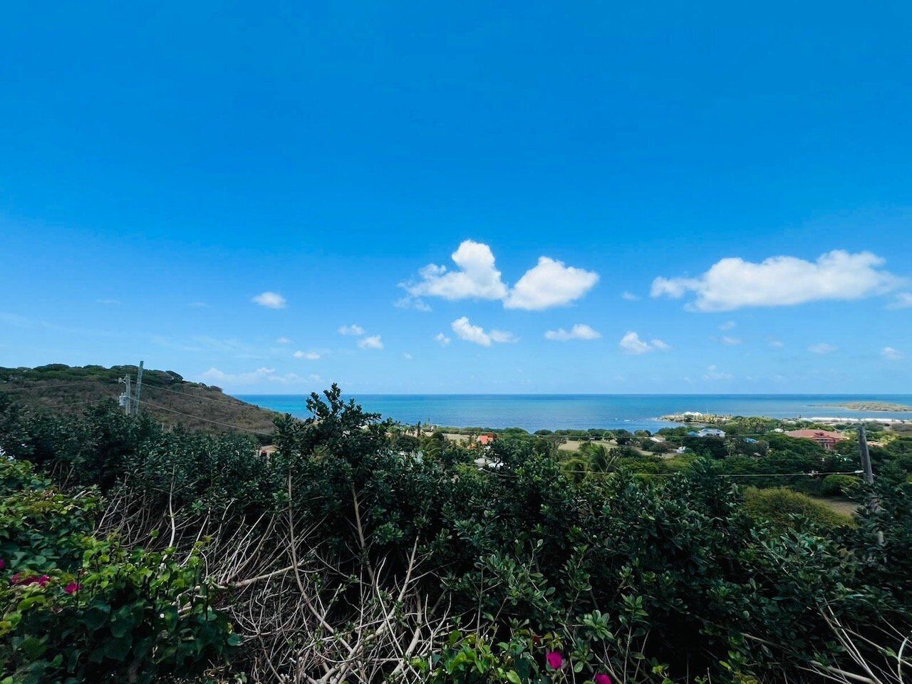 A coastal landscape with a clear sky, vegetation in the foreground, and a view of the sea and distant buildings.