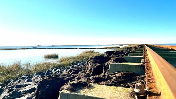 Un camino costero con escalones que conducen a la playa, rodeado de césped y rocas.