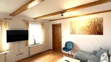 Fernseher, Stereoanlage