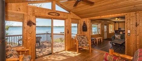 TV connectée, cheminée, lecteur de DVD, livres